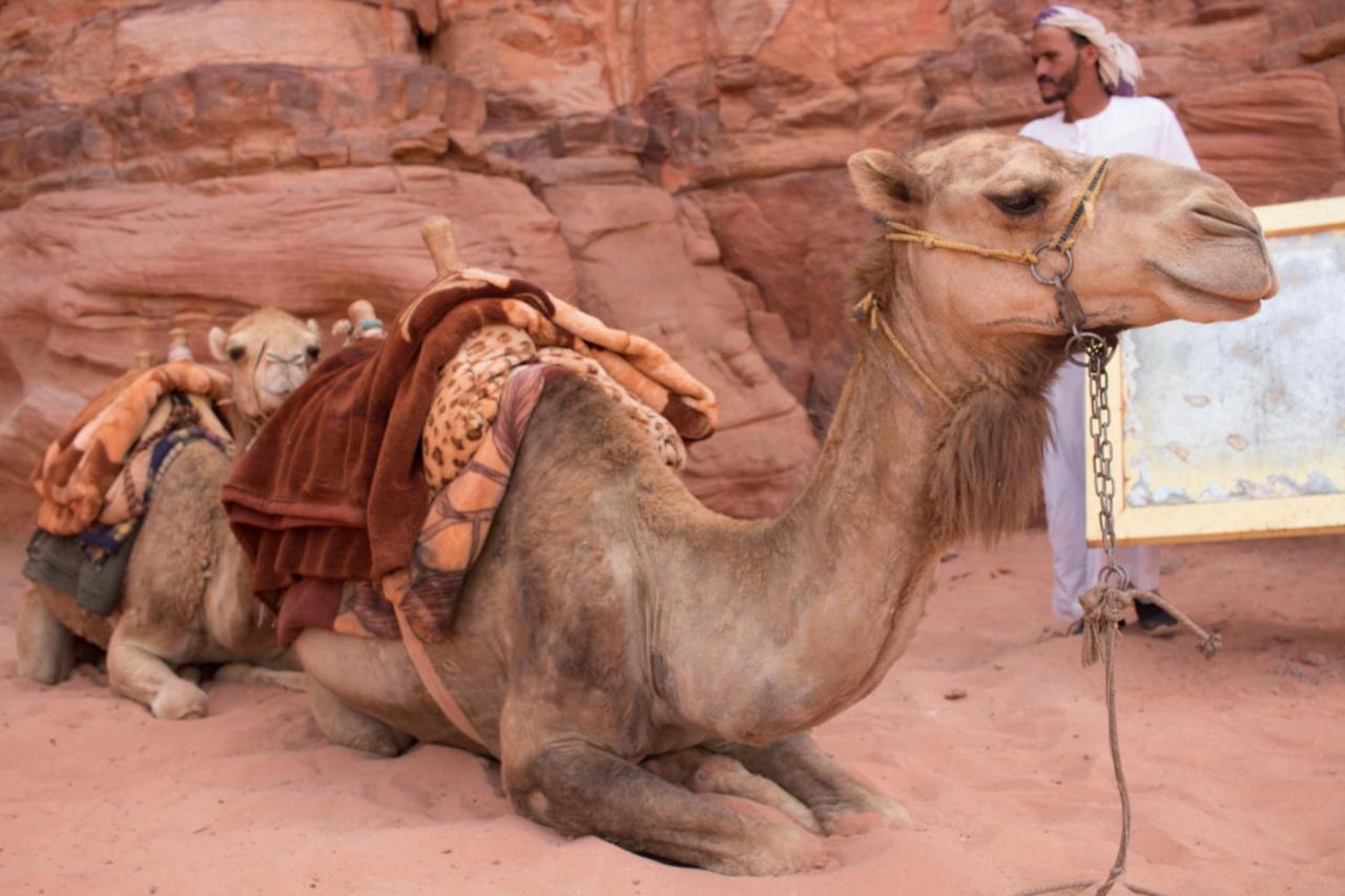 Bedouins Life Camp Otel Akabe Dış mekan fotoğraf