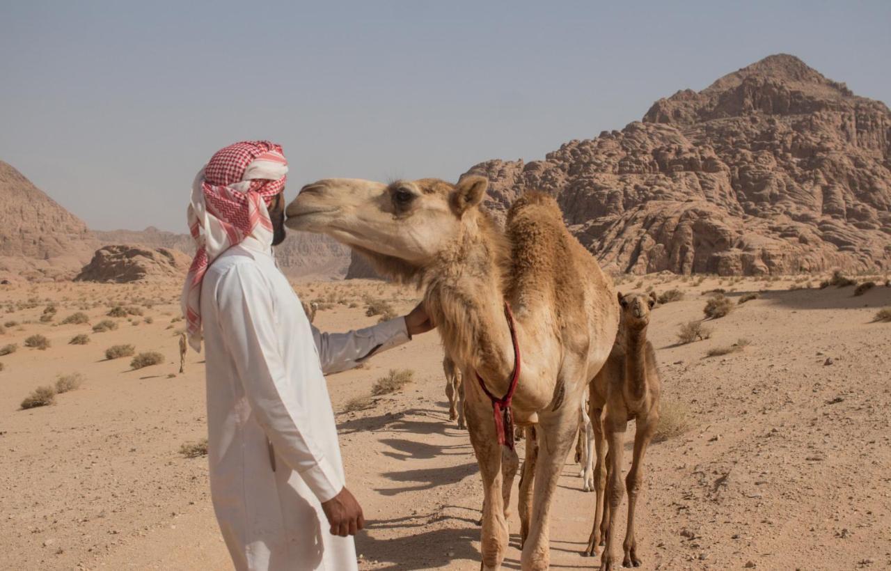 Bedouins Life Camp Otel Akabe Dış mekan fotoğraf